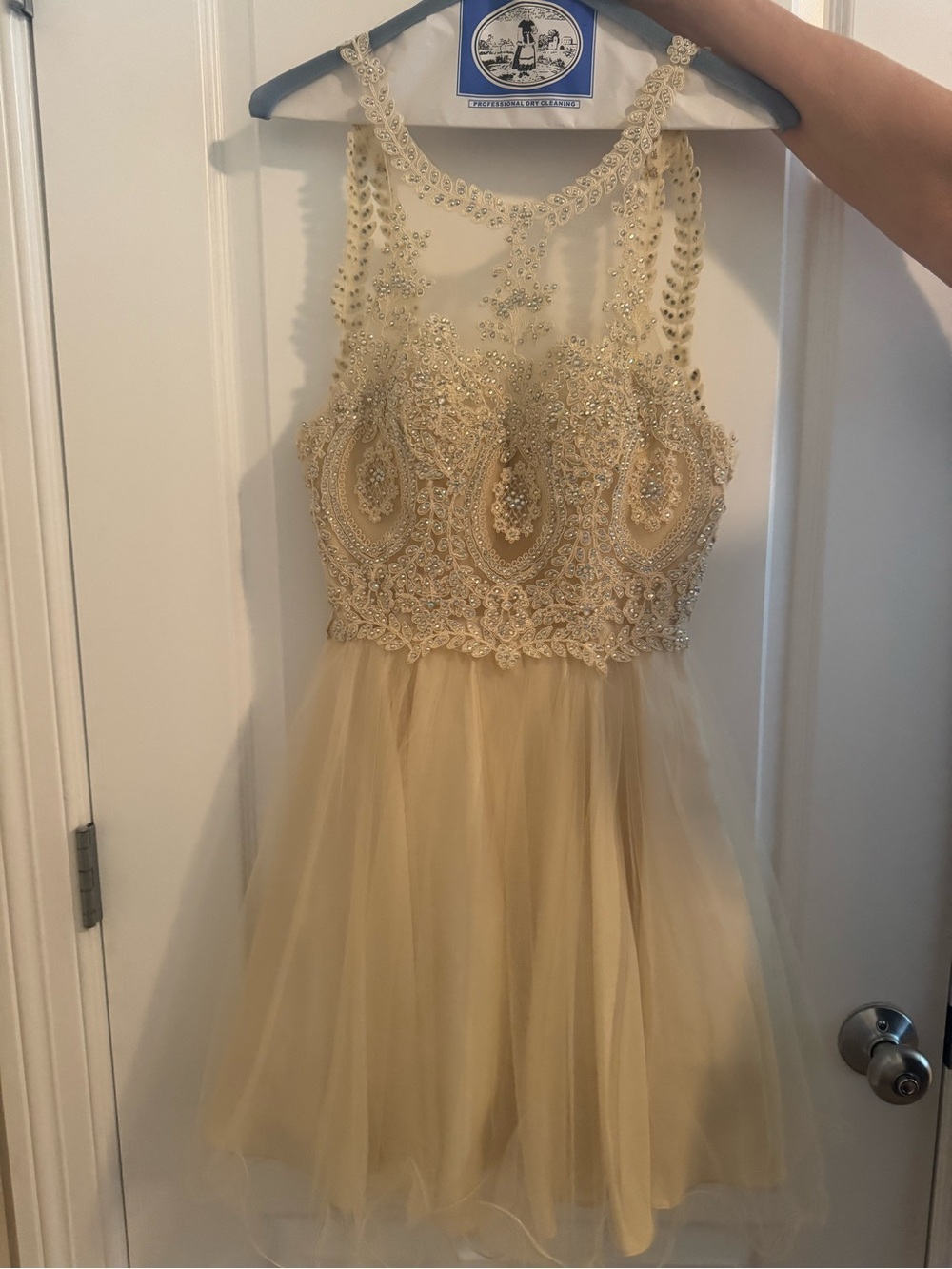 Champagne Homecoming Dress WORN ONCE